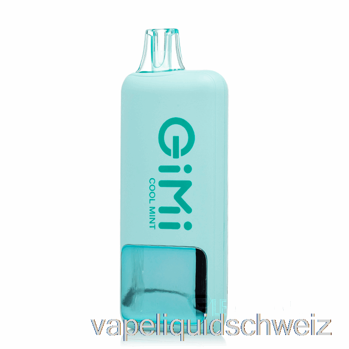 Flum Gimi 8500 Smart Einweg-Cool Mint Vape Schweiz